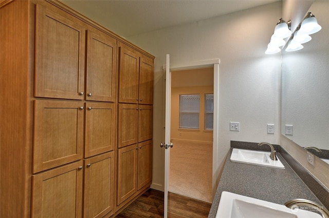 bathroom featuring hardwood / wood-style floors and sink