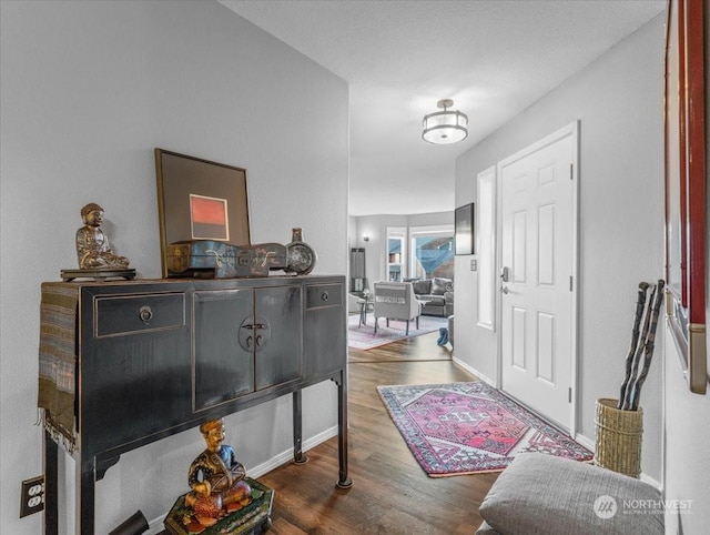 entryway with dark wood-type flooring