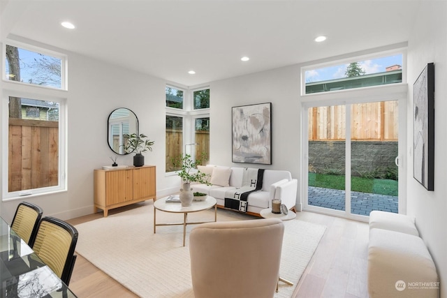 living room with light hardwood / wood-style flooring