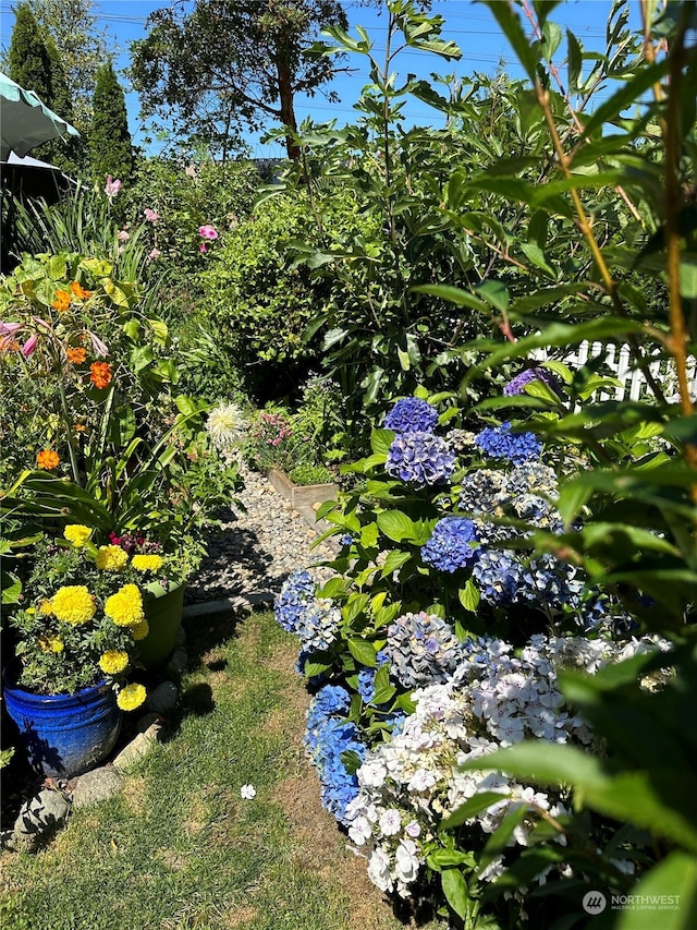 details featuring a small pond