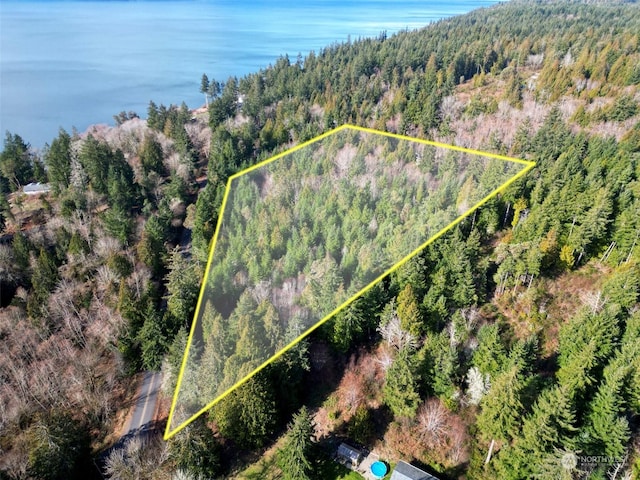 7515 Whiteman Rd SW, Longbranch WA, 98351 land for sale