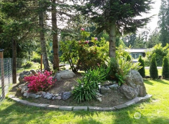 13015 202nd Dr NE, Granite Falls, WA 98252 - view of yard