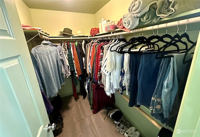 spacious closet featuring wood-type flooring