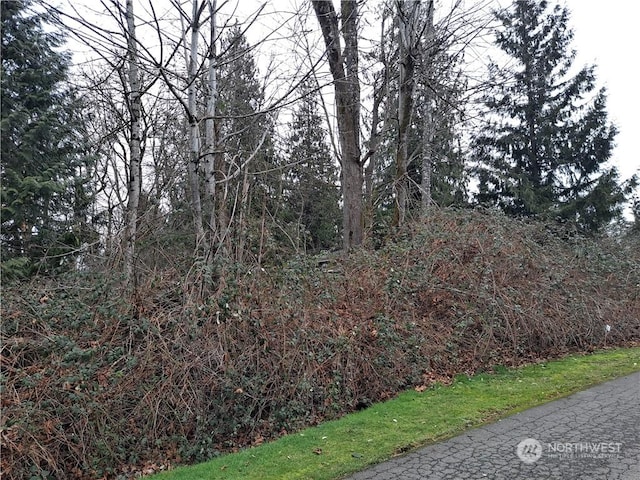 209XX SE 269th St, Covington WA, 98042 land for sale