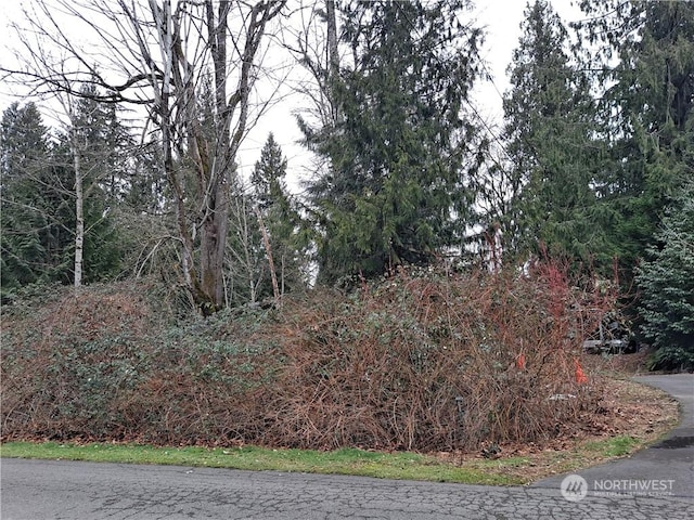 Listing photo 3 for 209XX SE 269th St, Covington WA 98042