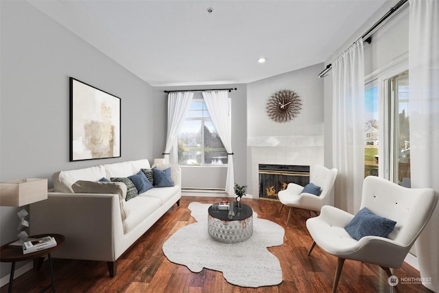 living room with a fireplace and dark hardwood / wood-style flooring