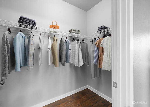 spacious closet featuring dark hardwood / wood-style flooring