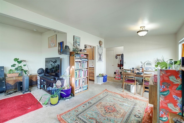 living room with light colored carpet