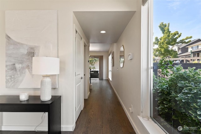 corridor with dark hardwood / wood-style flooring