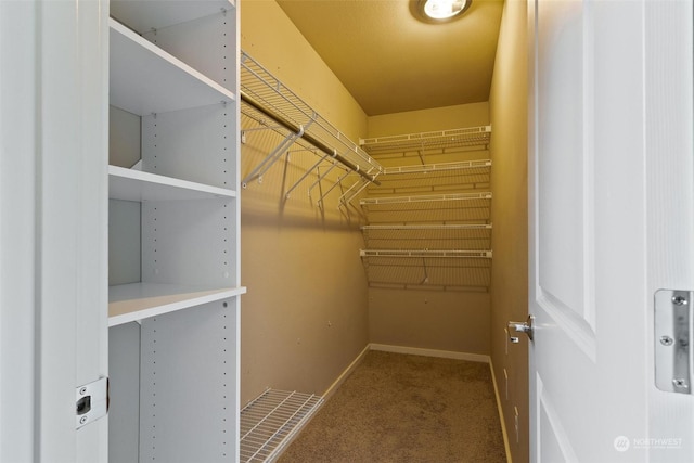 spacious closet with carpet flooring