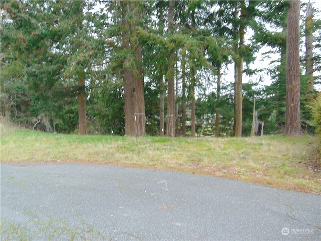 114 Ridgetop Pl, Sequim WA, 98382 land for sale