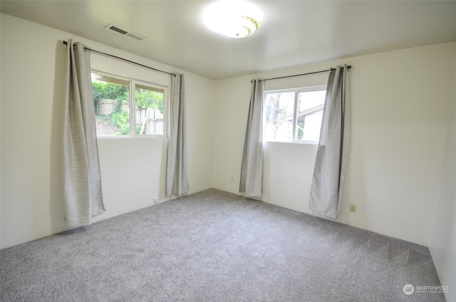 empty room with plenty of natural light and carpet floors