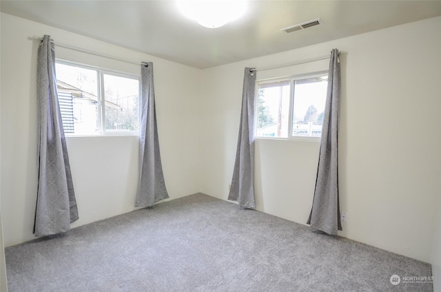 carpeted empty room with a wealth of natural light