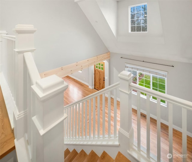 staircase with hardwood / wood-style floors and a towering ceiling