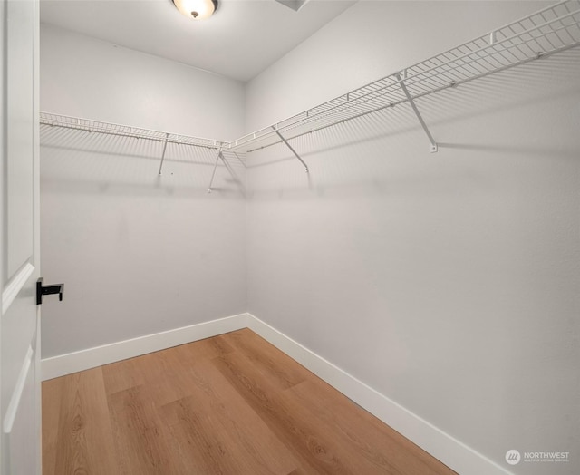 spacious closet with hardwood / wood-style floors