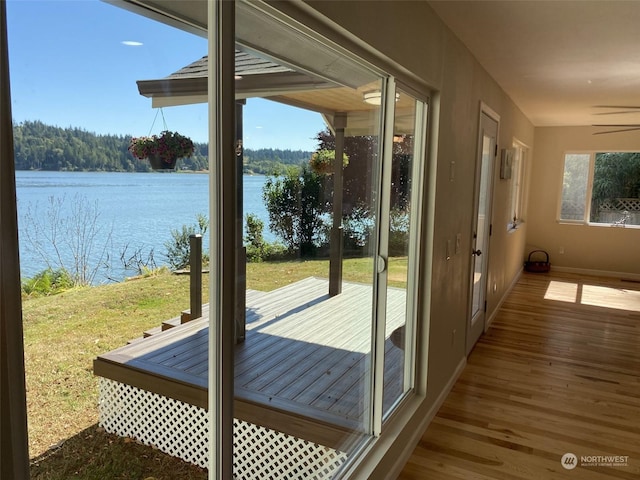 doorway to outside with a water view, a wealth of natural light, and hardwood / wood-style flooring