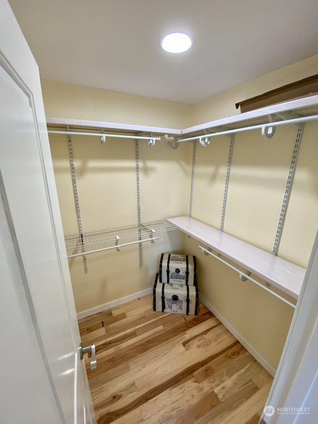 spacious closet featuring wood-type flooring