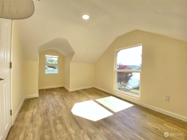 additional living space featuring a healthy amount of sunlight, light hardwood / wood-style floors, and lofted ceiling