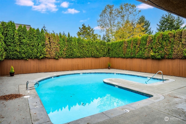 view of swimming pool with a patio