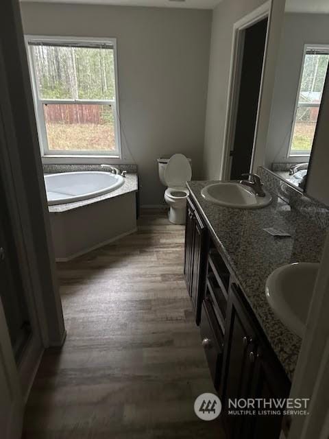 bathroom featuring toilet, a washtub, vanity, and hardwood / wood-style flooring