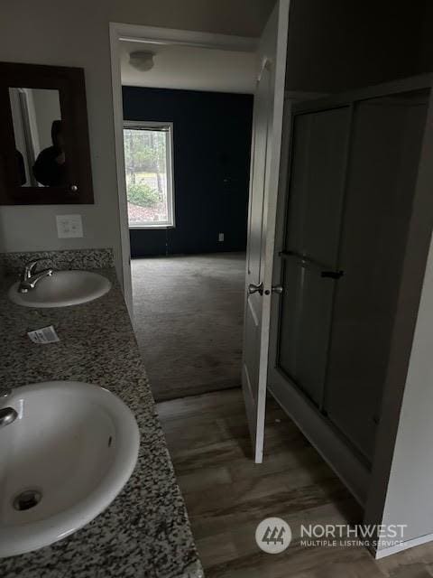 bathroom with vanity and walk in shower