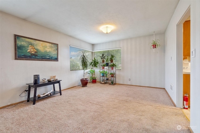 unfurnished room featuring carpet flooring