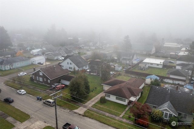 bird's eye view