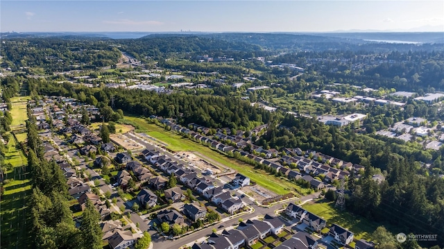 bird's eye view