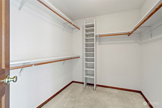 spacious closet featuring light colored carpet