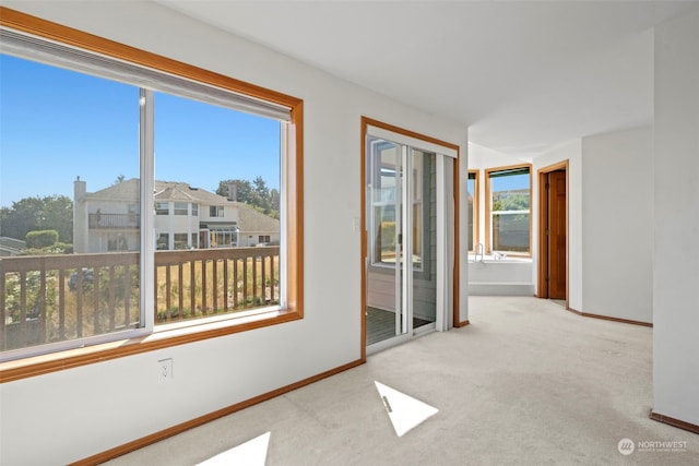 spare room featuring light colored carpet