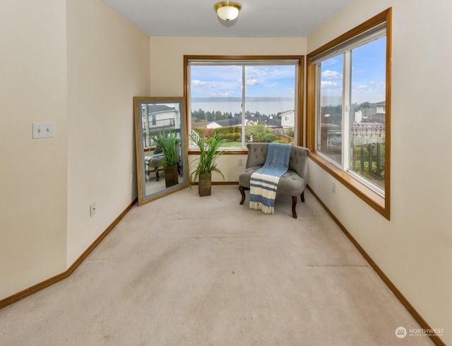 living area featuring carpet flooring