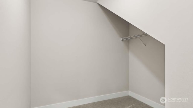 spacious closet with carpet floors