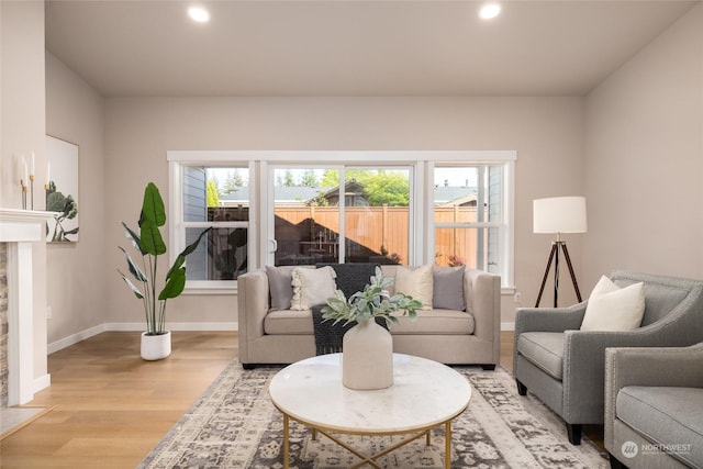 living room featuring a stone fireplace and light hardwood / wood-style flooring