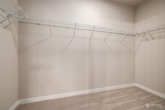 walk in closet with carpet