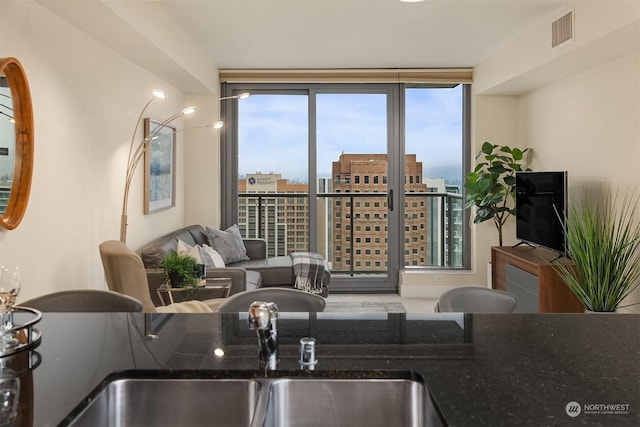 living room with sink