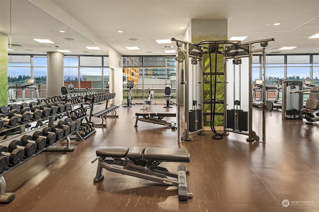 workout area featuring floor to ceiling windows and a drop ceiling