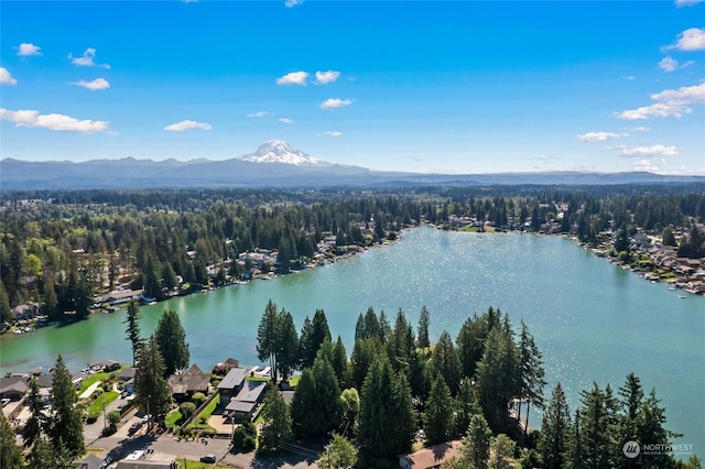 aerial view with a water and mountain view