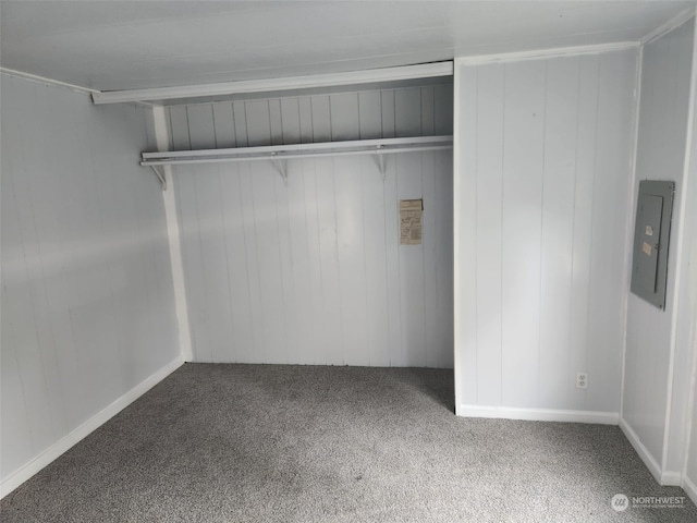 closet featuring electric panel