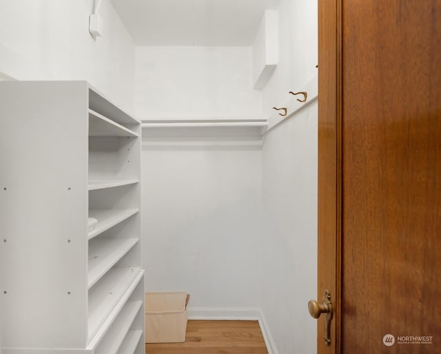 walk in closet with hardwood / wood-style floors