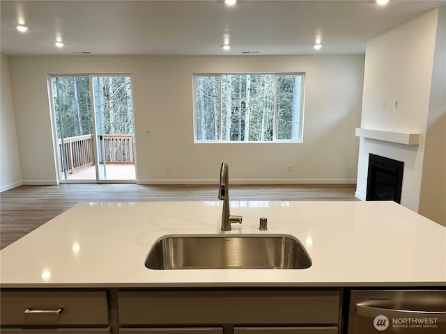 13628 187th St E Unit 36, Puyallup, WA 98374 - kitchen featuring a sink, stainless steel dishwasher, open floor plan, wood finished floors, and a center island with sink