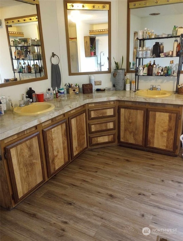 bathroom with hardwood / wood-style flooring and vanity