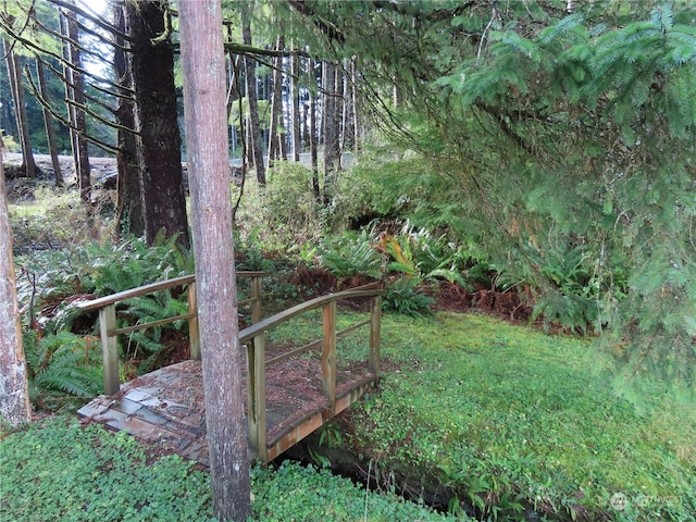 21 Nelson Pl, Copalis Beach, WA 98535 - photo 8