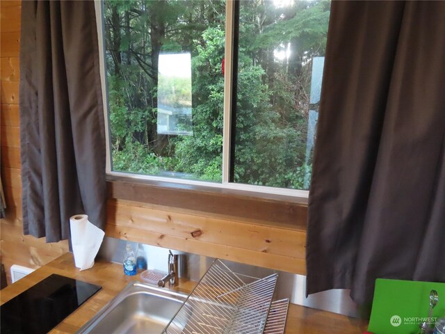 21 Nelson Pl, Copalis Beach, WA 98535 - photo 13