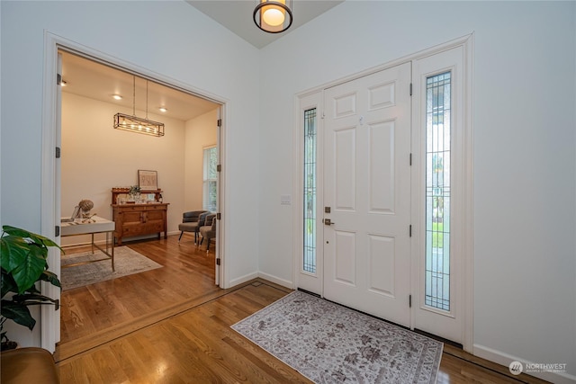 foyer entrance featuring wood-type flooring