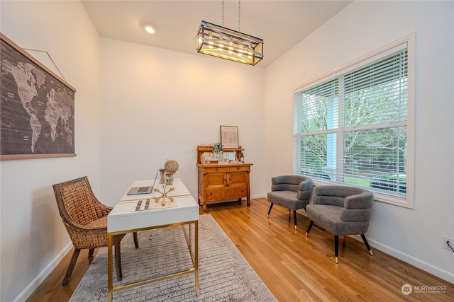 office space with wood-type flooring