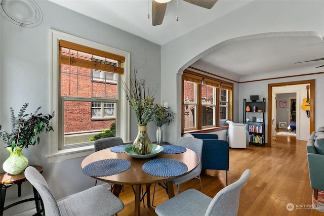 dining area with ceiling fan and light hardwood / wood-style floors