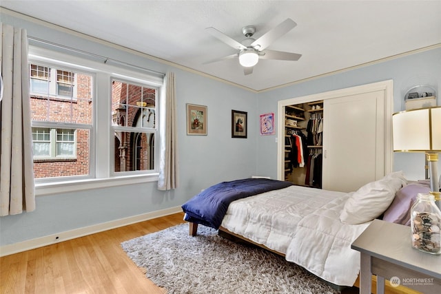 bedroom with a walk in closet, light wood-type flooring, ornamental molding, ceiling fan, and a closet