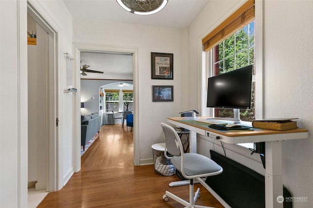 home office with hardwood / wood-style flooring and ceiling fan