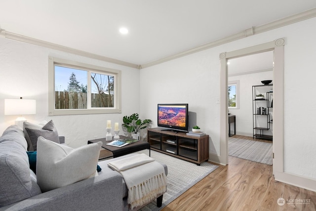 living room with light wood-type flooring and crown molding