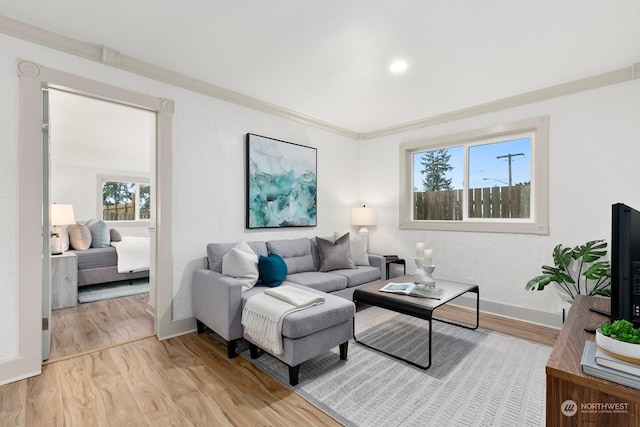 living room featuring plenty of natural light, light hardwood / wood-style floors, and ornamental molding